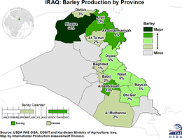 images\IZ\cropprod\Iraq_barley_preview.png